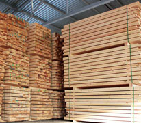 Производственный участок сушки древесины