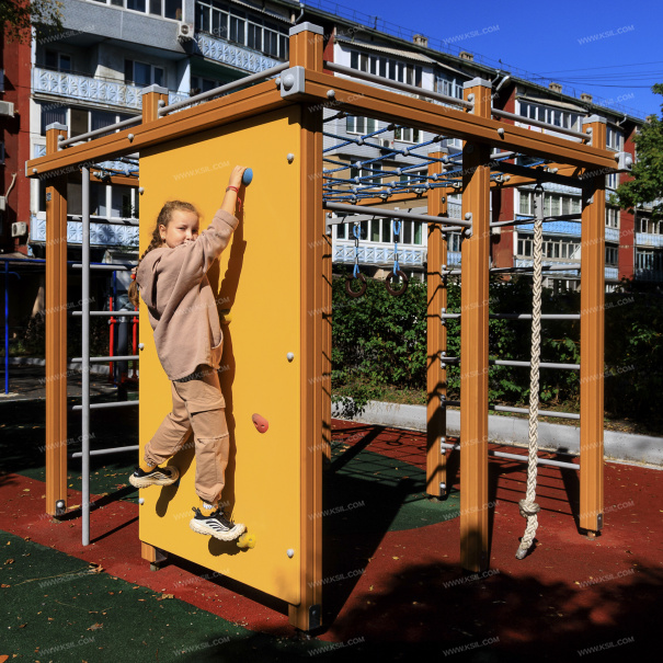 006303 - Детский спортивный комплекс - фото пример 2