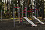 006453 - Комплекс из 3 турников, 2 скамеек для пресса, шведской стенки, каната и колец - фото превью 5