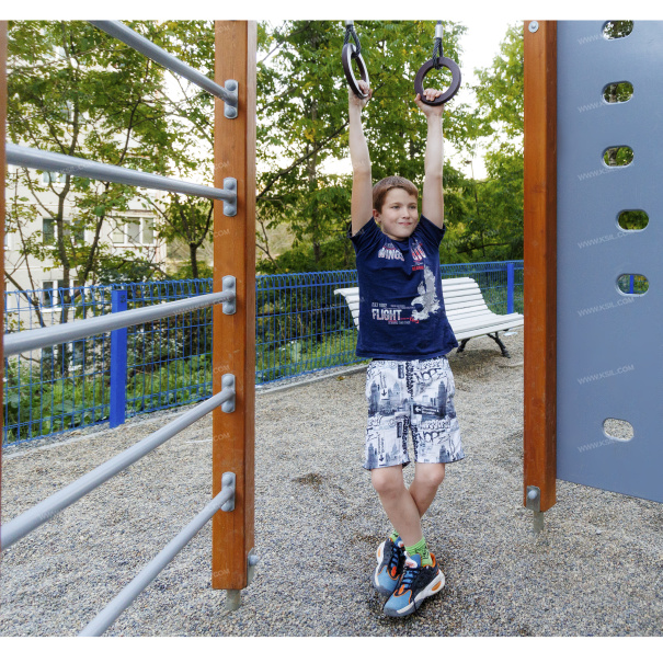 006308 - Детский спортивный комплекс - фото пример 3