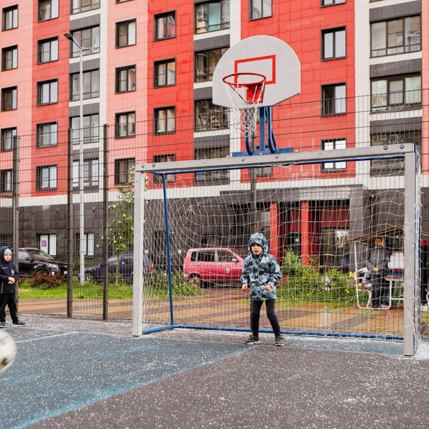 006603 - Гандбольные ворота с баскетбольным щитом - фото пример 4