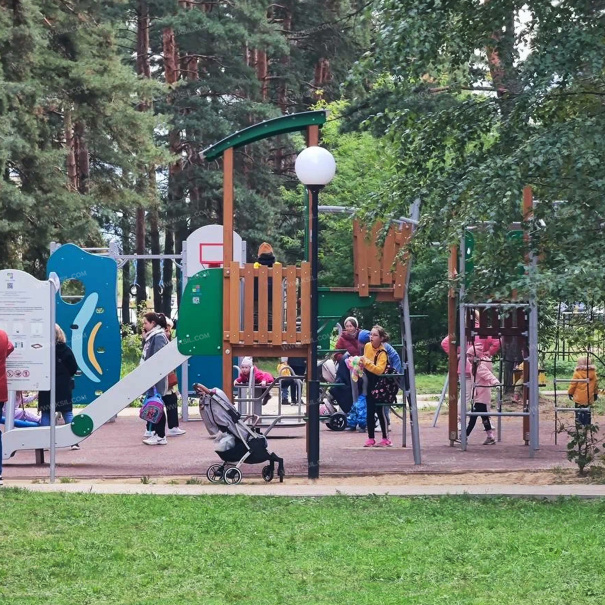 OO5484 - Детский игровой комплекс «Ларикс» - фото пример 5